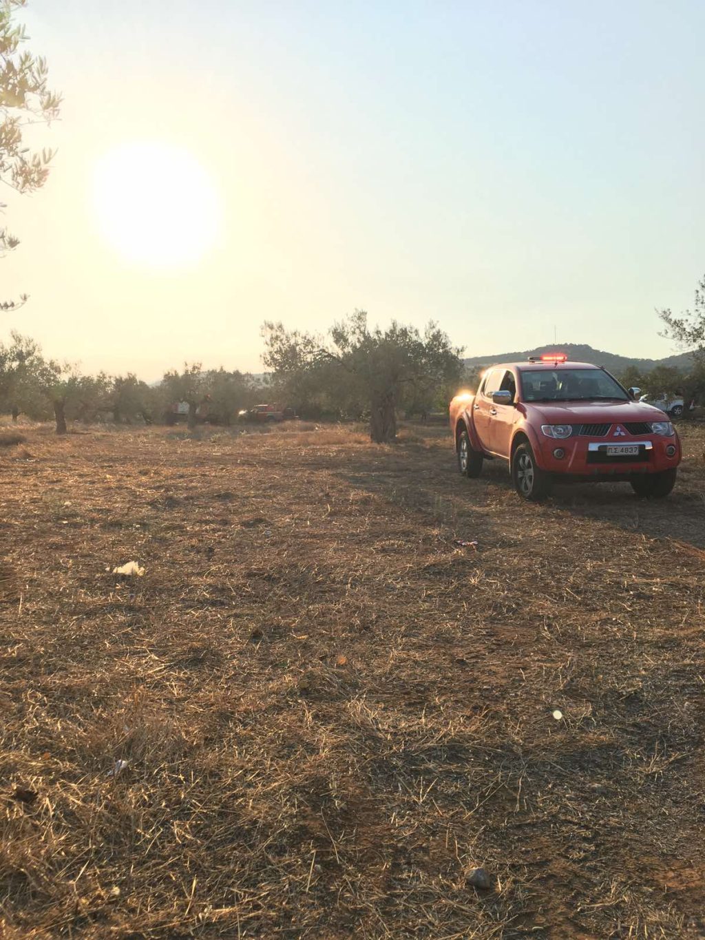 FOTIA GIANNOULEIKA (2)