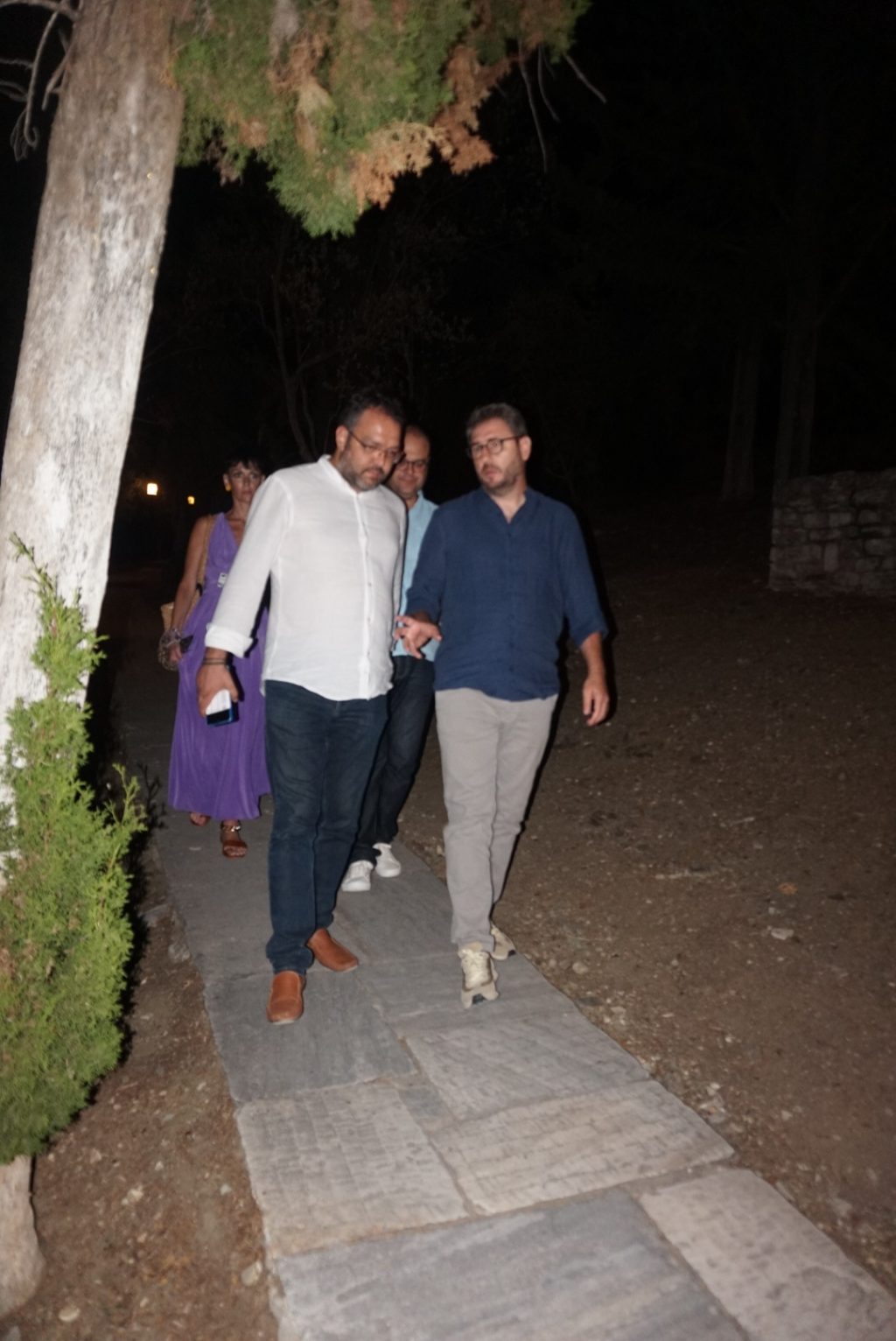 androulakis epidavros troades (8)