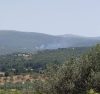 Πυρκαγιά σε περιοχή ανάμεσα σε Αδάμι και Κάντια.