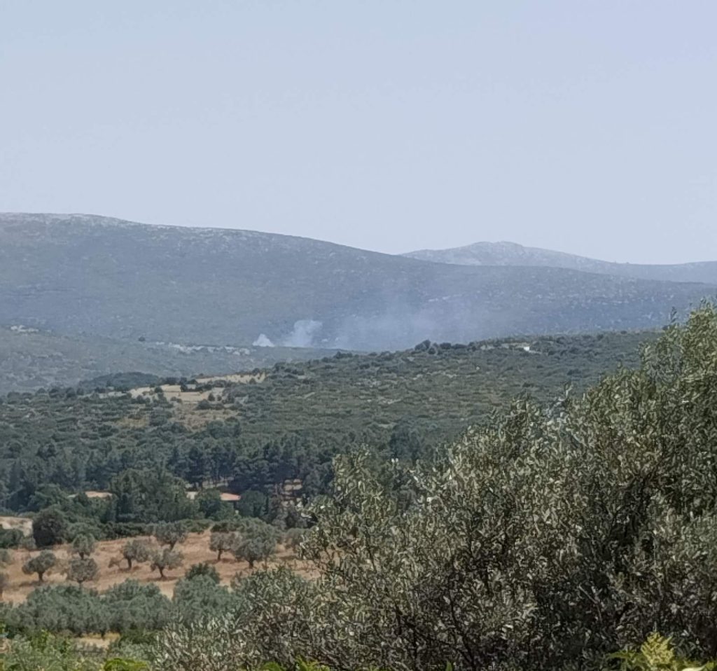 fotia adami