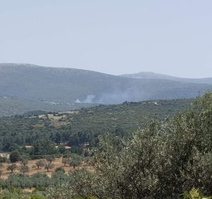 fotia adami
