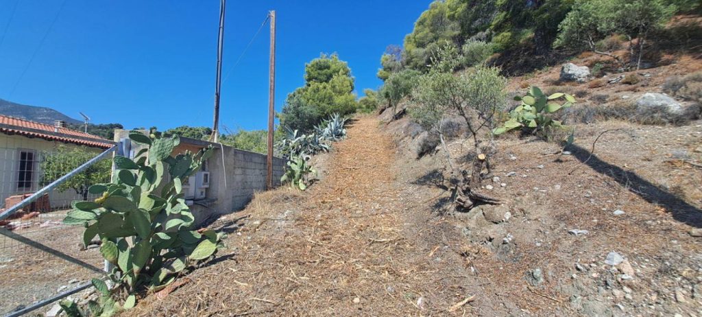 antipiriki prostasia (2)