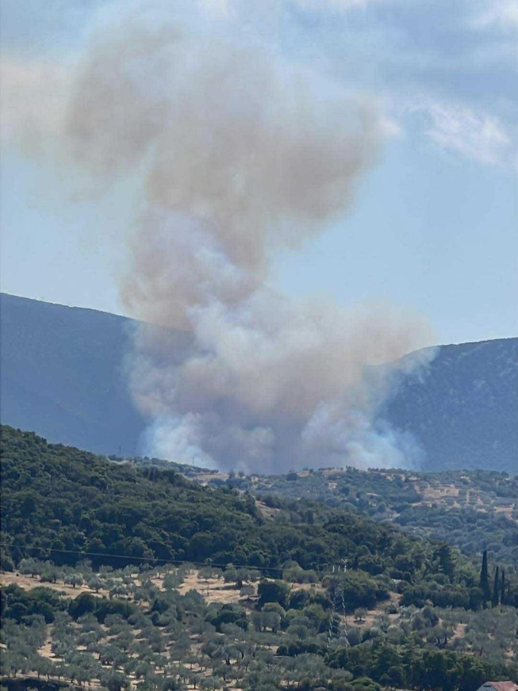 fotia pelei