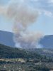 Μεγάλη Πυρκαγιά στο Πελεή: Άμεση Κινητοποίηση της Πυροσβεστικής.