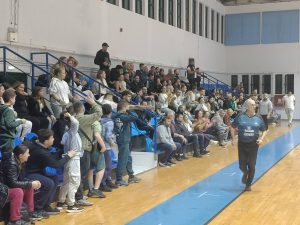 koronis ermionida (2)