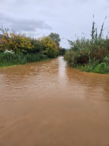 plimira dimos epidavrou