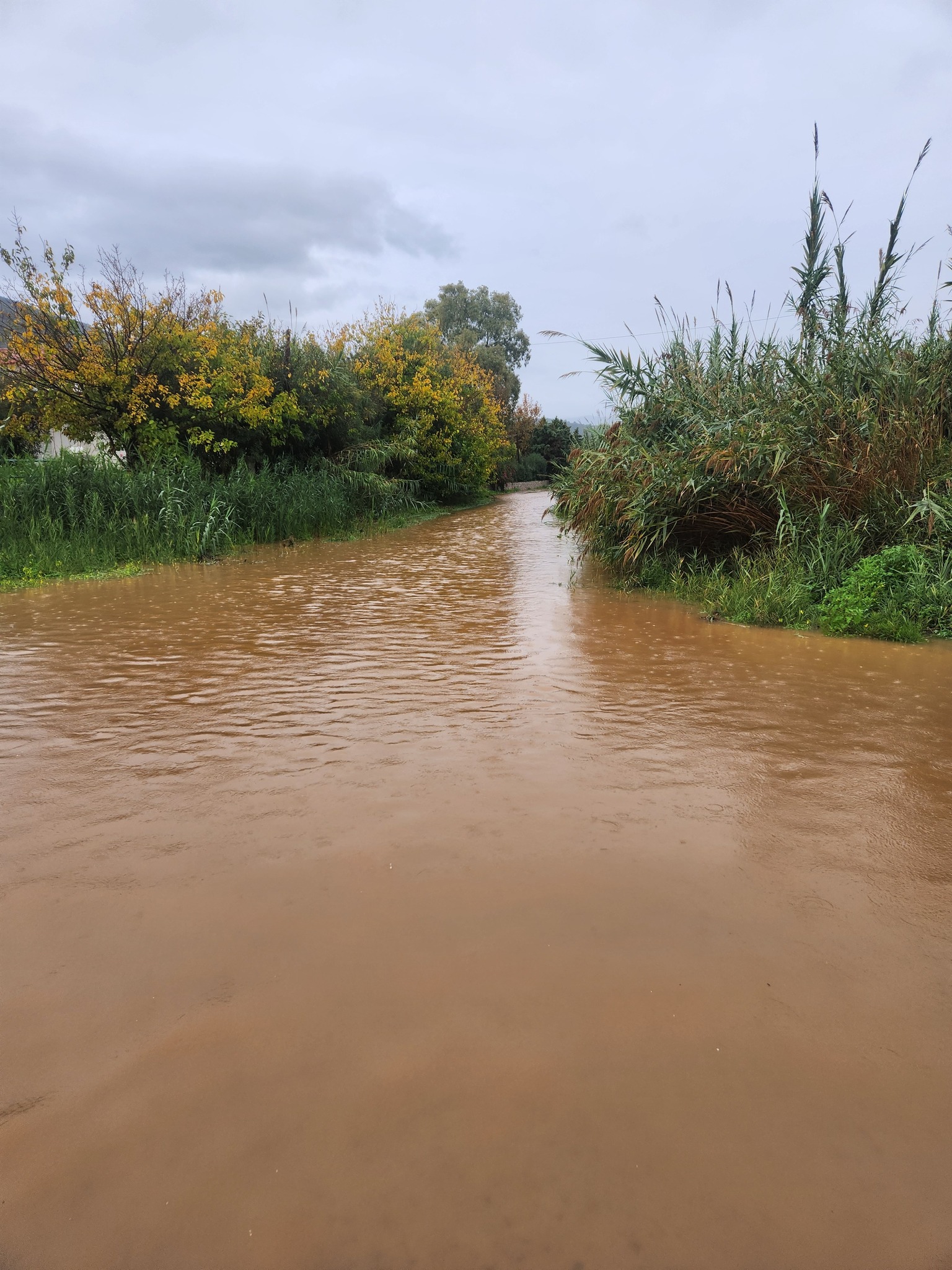 plimira dimos epidavrou