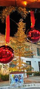 xristougenna nea epidavros (5)