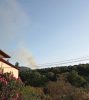 Συναγερμός στο Λυγουριό Αργολίδας: Φωτιά σε ελαιώνα – Κινητοποιήθηκαν ισχυρές δυνάμεις.