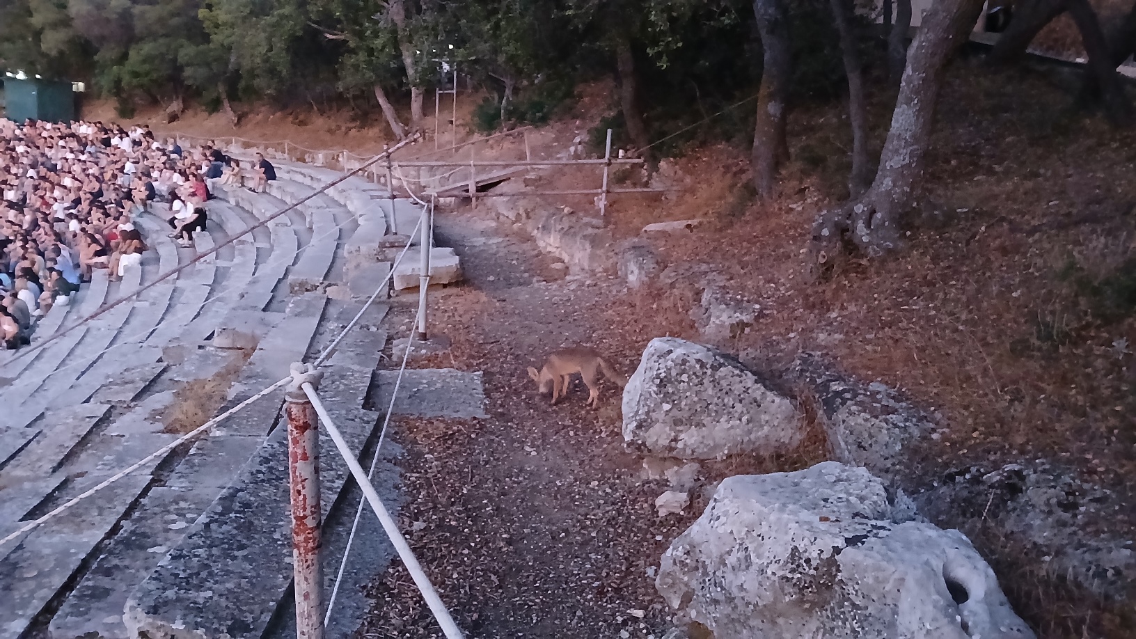 alepoudakia epidavros vakxes