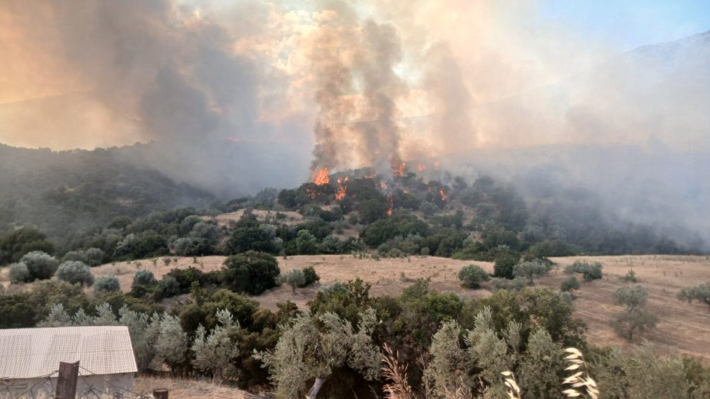 fotia agia eleni mpafi (4)