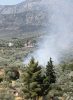 Φωτιά στο Αρκαδικό Επιδαύρου : Άμεση η επέμβαση της Πυροσβεστικής – Υπό πλήρη έλεγχο η πυρκαγιά.