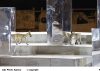 Όταν οι αλεπούδες της Επιδαύρου ανέβηκαν στη σκηνή: Μια μοναδική αυλαία για το φετινό φεστιβάλ